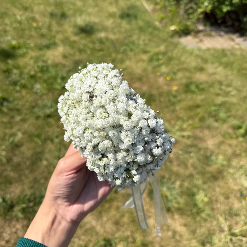 ASbloomlab photo 3